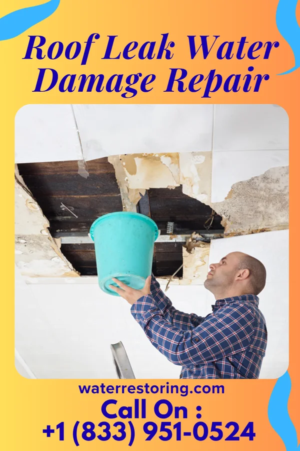 Roof Leak Water Damage Repair in West Athens, CA